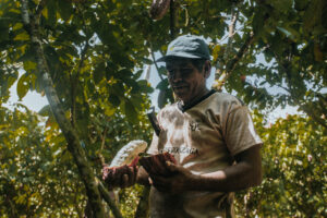 Cacao Farmer